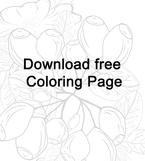 free printable coloring pages for adults only pdf free nature coloring pages for adultsPicture
